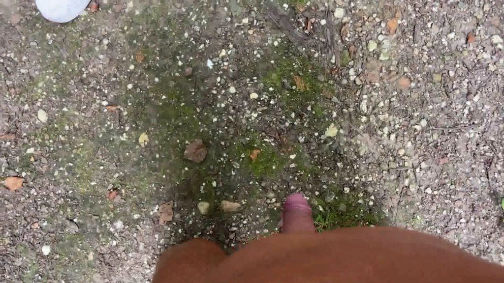 sexy foto nr. 6 von Wichser im Wald Angepisst