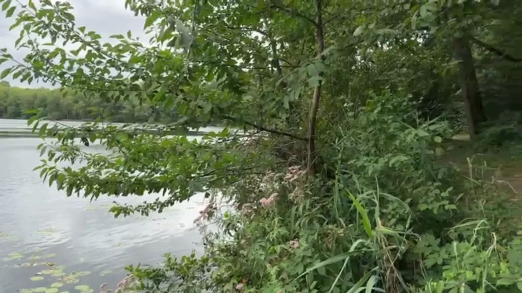 Vorschaubild 1 zum Video „Der Beste Pissbogen von mir“
