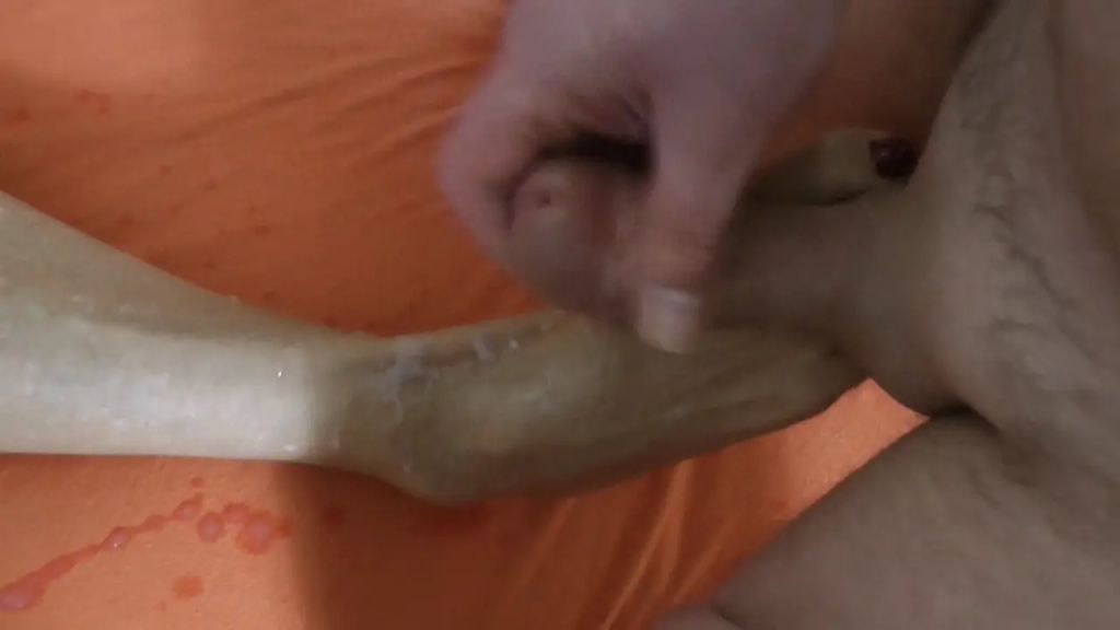 sexy foto nr. 9 von Erst die Vorführung dann der Sex
