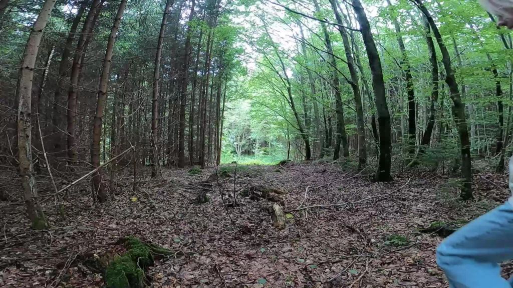 Vom Wald Weg ab"gekommen" / Girl-Girl