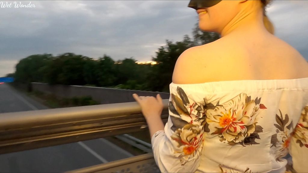 sexy foto nr. 6 von Von der Autobahnbrücke gepisst!!!