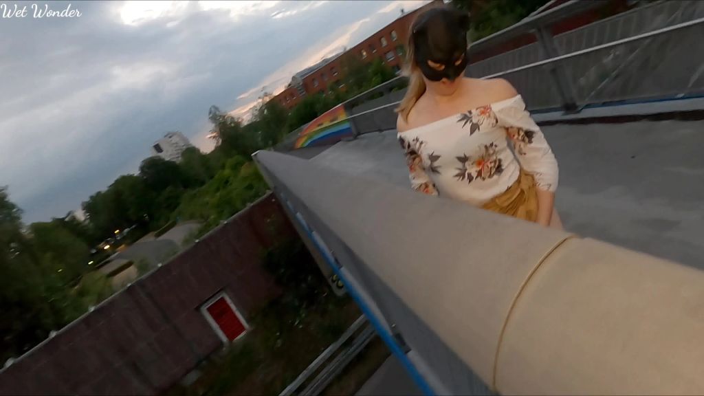 sexy foto nr. 7 von Von der Autobahnbrücke gepisst!!!