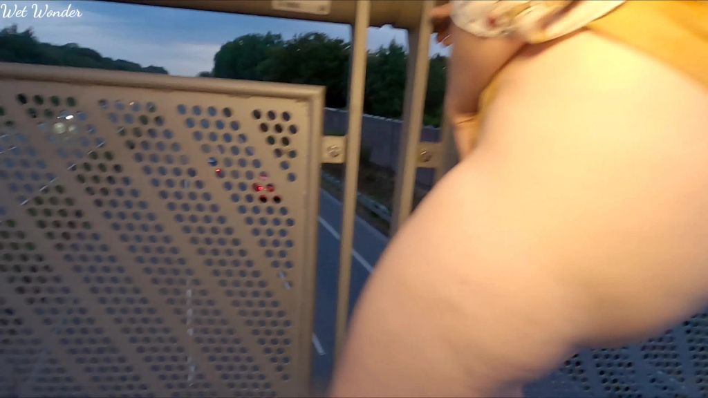 sexy foto nr. 8 von Von der Autobahnbrücke gepisst!!!