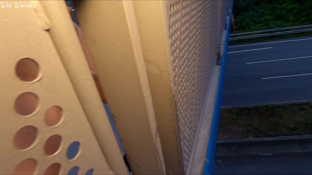 sexy foto nr. 10 von Von der Autobahnbrücke gepisst!!!