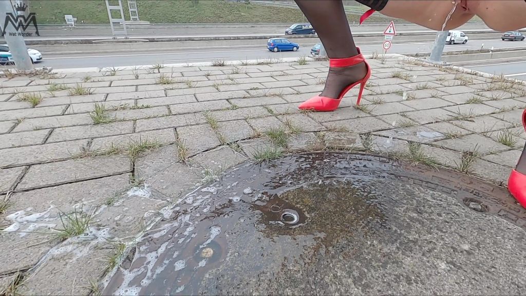 sexy foto nr. 10 von Public Piss Parade #8. An der Autobahn