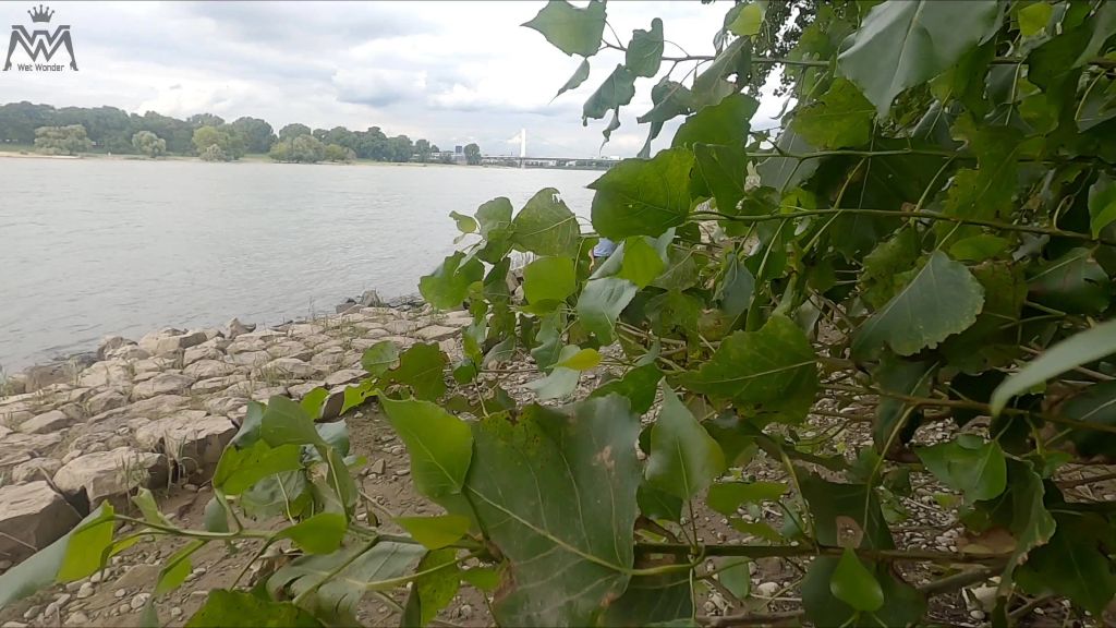 sexy foto nr. 4 von Feuchte Fotze am Fluss #3