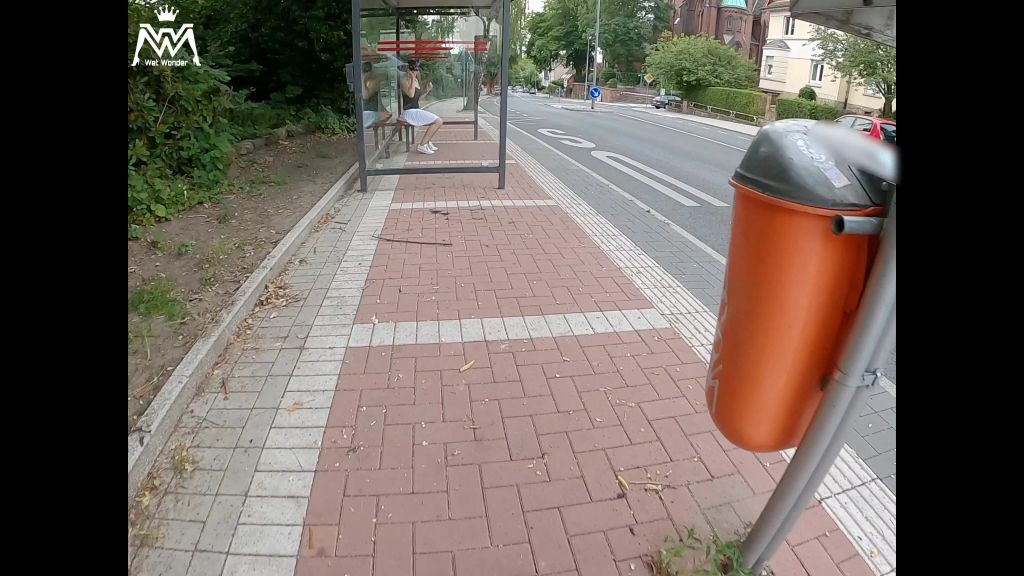 sexy foto nr. 2 von Public Piss Parade #16. Die Bus Haltestelle