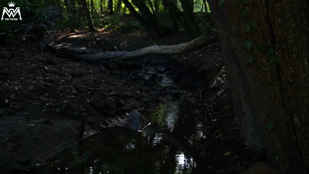sexy foto nr. 2 von Offizieller Herbst Piss