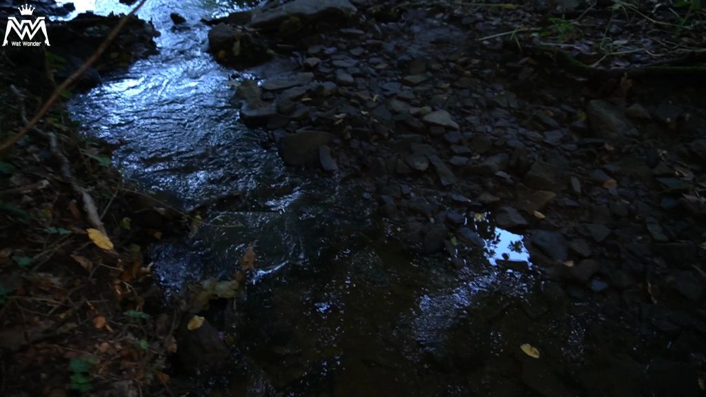 sexy foto nr. 3 von Offizieller Herbst Piss