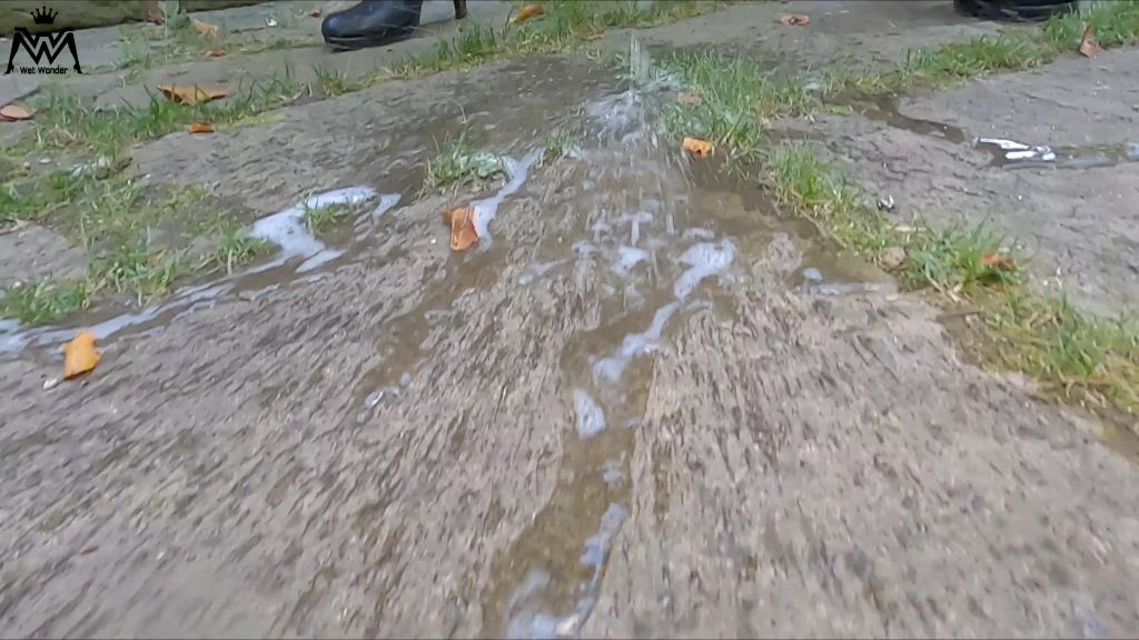 sexy foto nr. 7 von Die geile Outdoor Pissfotze.