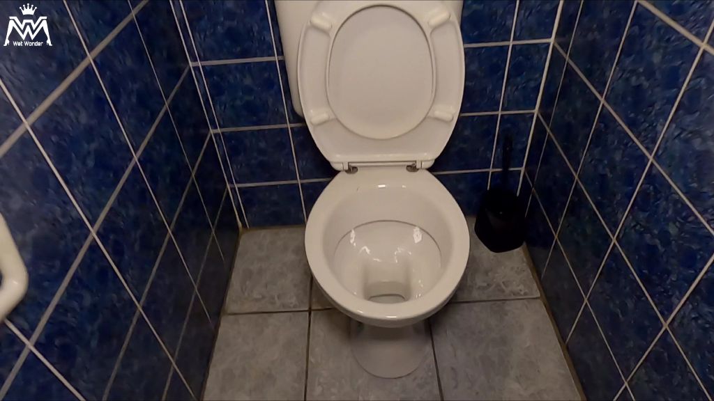 sexy foto nr. 1 von Schlampen gehen immer zu zweit auf Toilette!