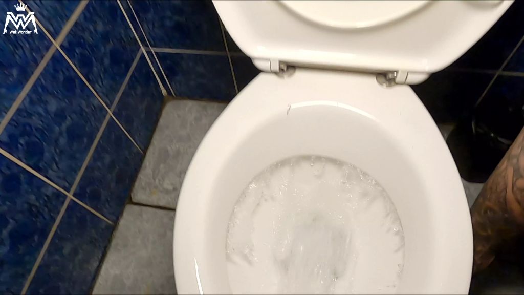 sexy foto nr. 8 von Schlampen gehen immer zu zweit auf Toilette!
