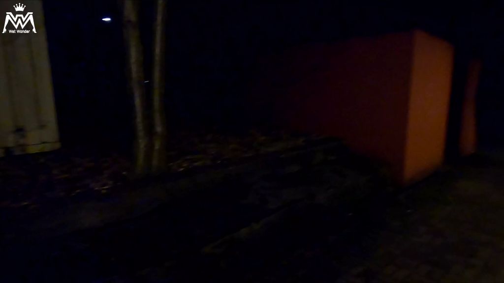 sexy foto nr. 5 von Dreister Outdoor Piss vor dem Rotlicht Studio